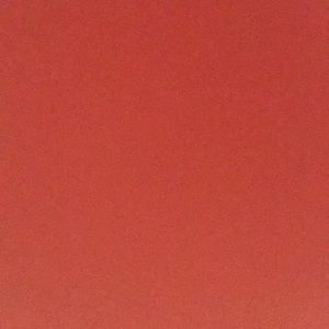 Meet your Posher, Carley